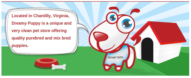 Illustration for article titled Dreamy Puppy is where your
furry friends are waiting you